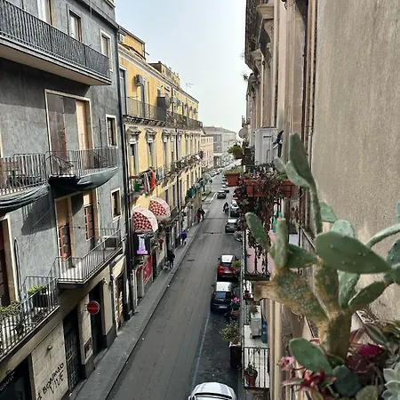 Jacupeddu's House بيت ضيافة